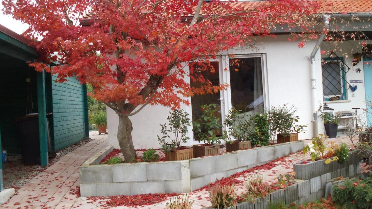 Haus Magnolia 2 Kandern Exterior foto